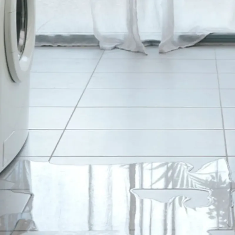Appliance Leak Cleanup in Bells, TX