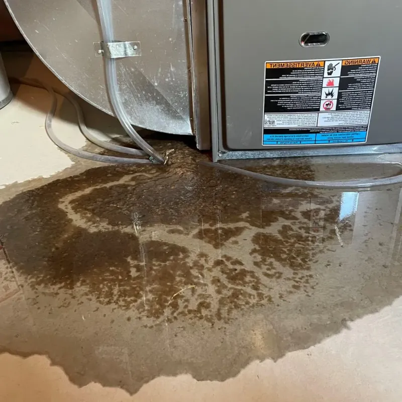 Pipe Burst and Leak Restoration in Bells, TX