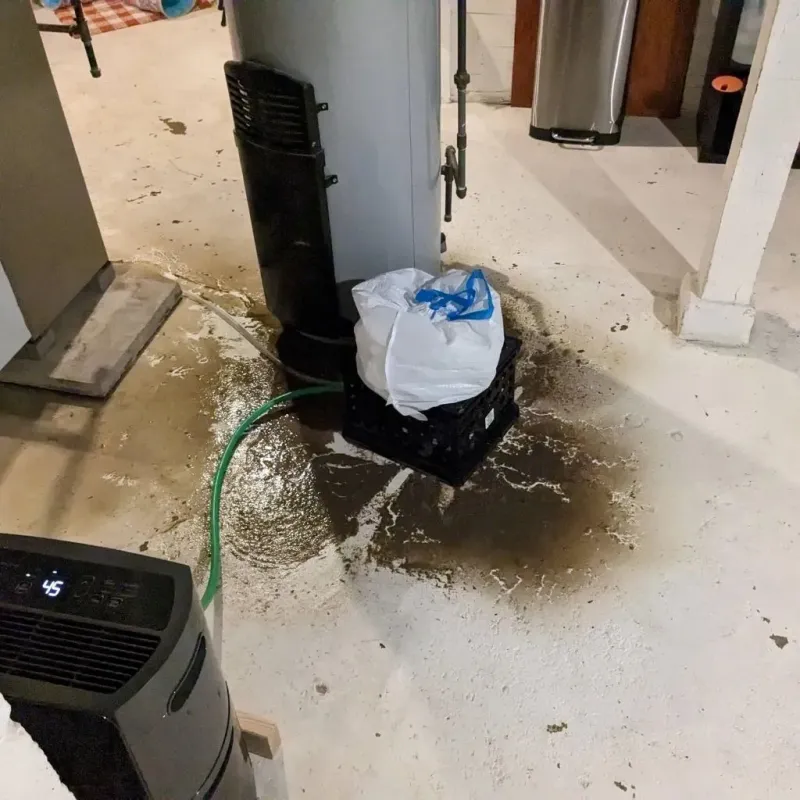 Sewage Backup Cleanup Service in Bells, TX